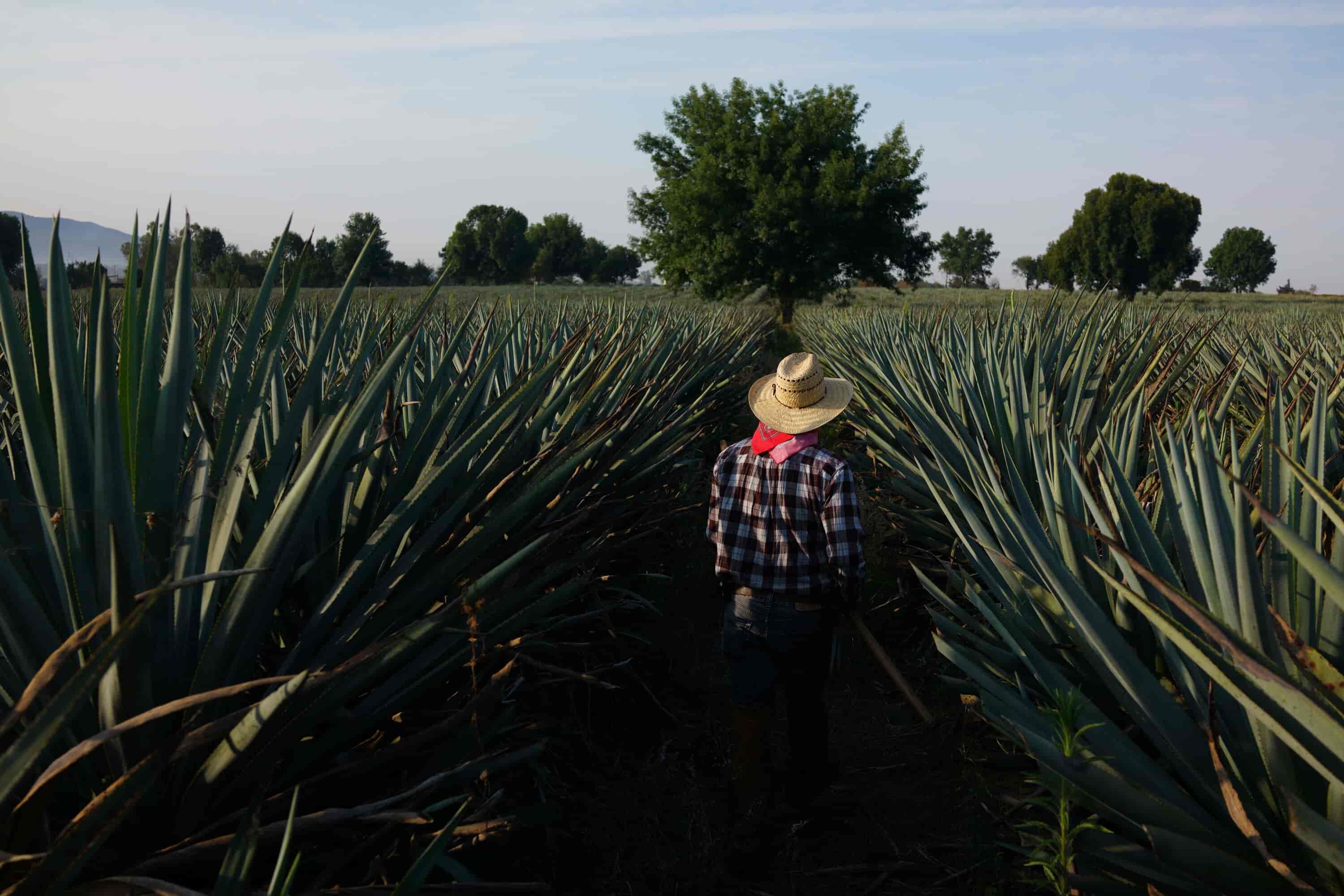 Responsible Sourcing F18 Cazadores BILA